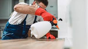 Best Real Estate Pest Inspections  in Vian, OK